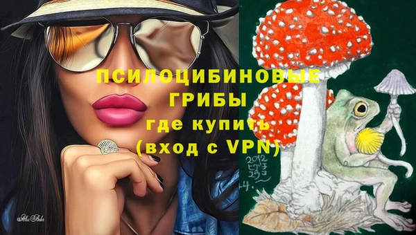 mdpv Горно-Алтайск
