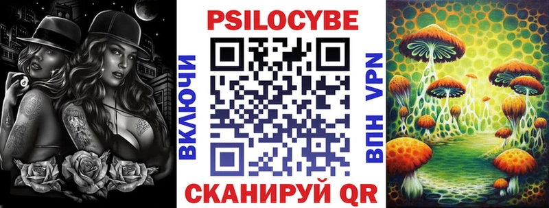 Галлюциногенные грибы Psilocybine cubensis  Азнакаево 